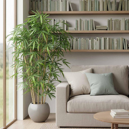 New Bamboo Tree 1.5m