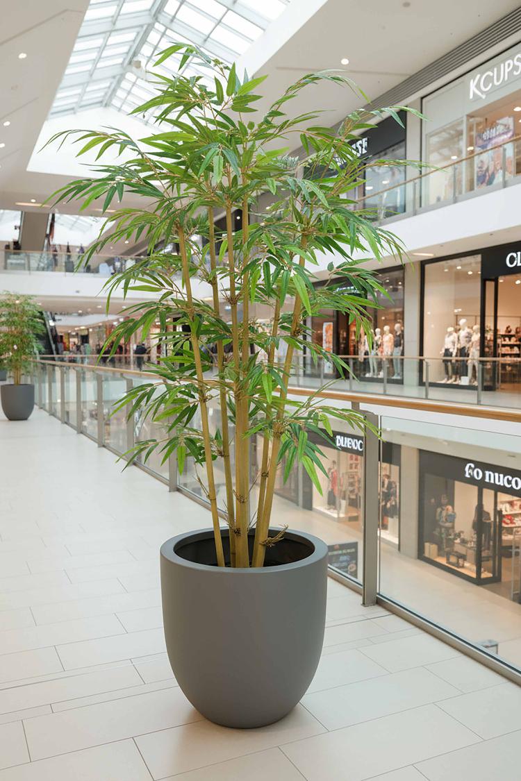 New Bamboo Tree 1.5m