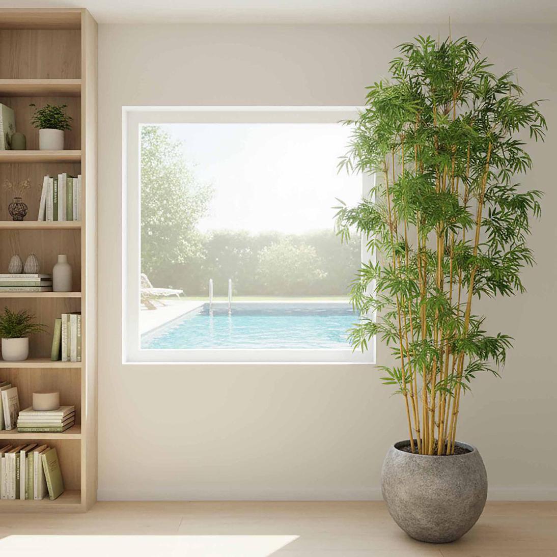 Oriental Bamboo Tree 1.9m