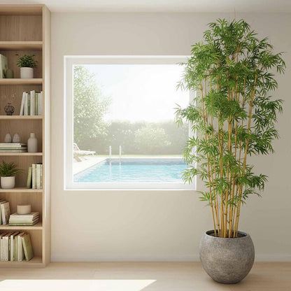 Oriental Bamboo Tree 1.9m