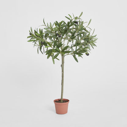 Olive Topiary 65cm