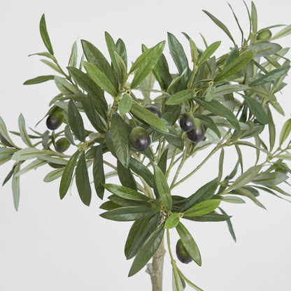 Olive Topiary 65cm