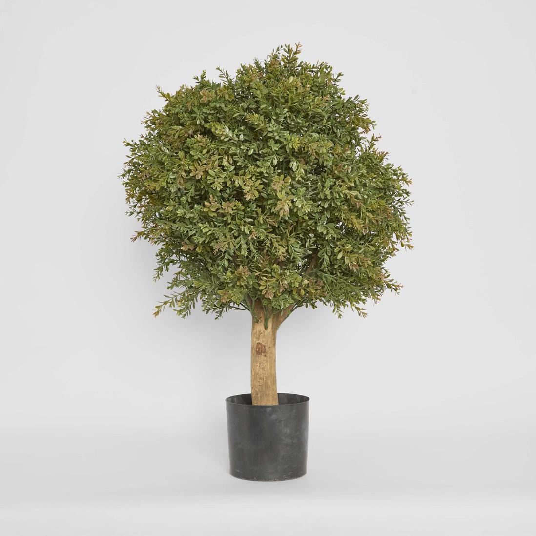 Red Day Leaf Ball Tree 85cm
