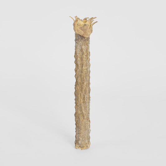 Fibreglass Rostrata Stem 40cm
