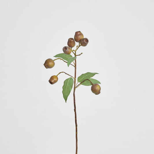 Eucalyptus Burgundy 67cm Green