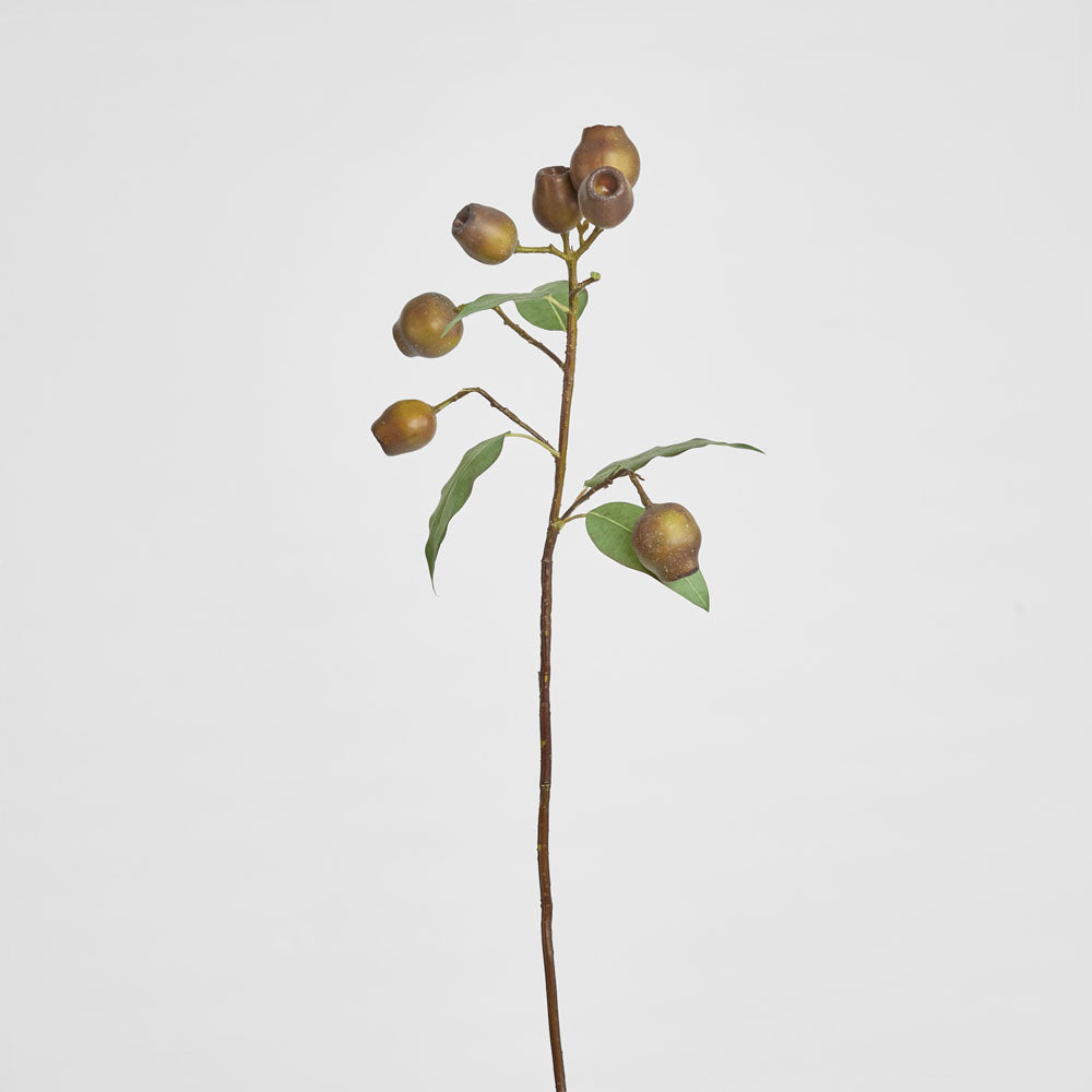 Eucalyptus Burgundy 67cm Green