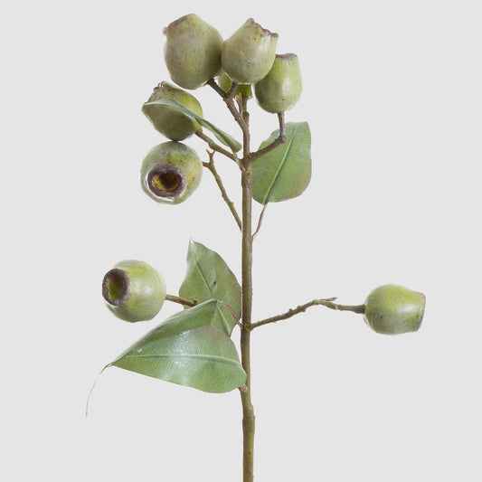 Eucalyptus Gumnut Spray 67cm Green
