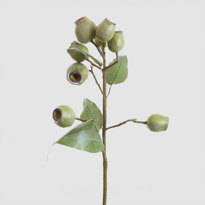 Eucalyptus Gumnut Spray 67cm Green