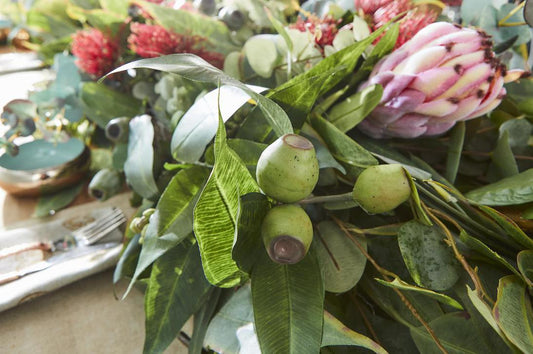 Eucalyptus Gumnut Spray 67cm Green