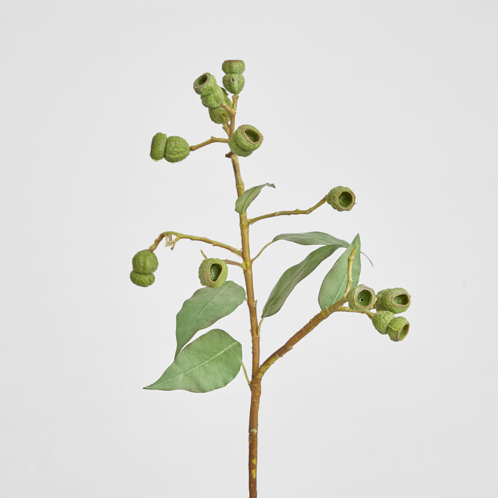 Eucalyptus Gumnut Spray 64cm Dark Green