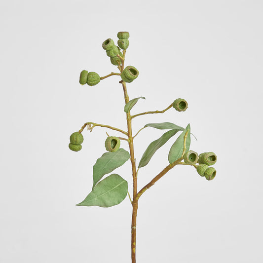 Eucalyptus Gumnut Spray 64cm Dark Green