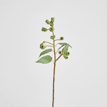 Eucalyptus Gumnut Spray 64cm Dark Green