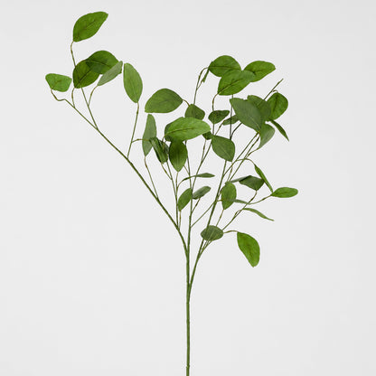 Eucalyptus Spray With 42 Leaves Green