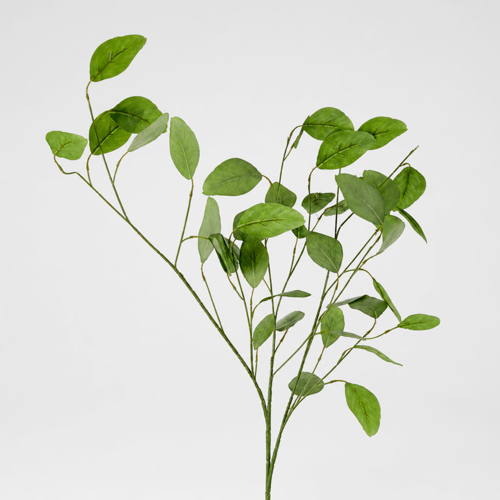 Eucalyptus Spray With 42 Leaves Green