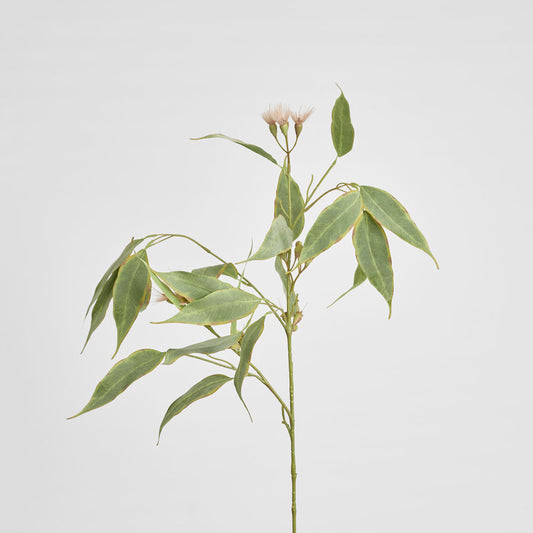 Eucalyptus Flower Spray 92cm Pink & Green
