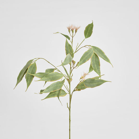 Eucalyptus Flower Spray 92cm Pink & Green