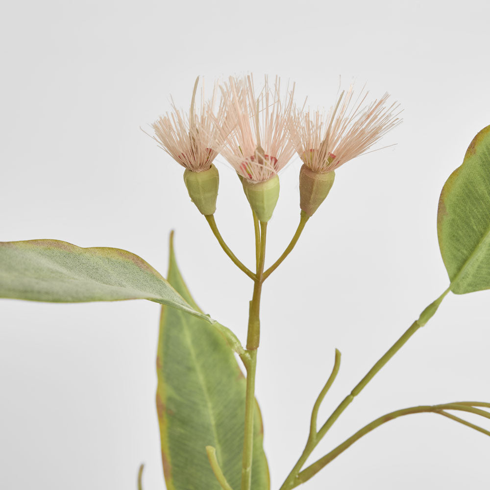 Eucalyptus Flower Spray 92cm Pink & Green