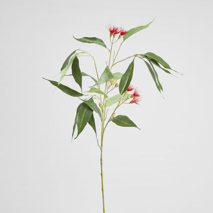 Eucalyptus Flower Spray 92cm Red & Green