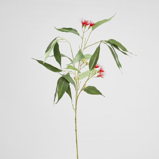 Eucalyptus Flower Spray 92cm Red & Green