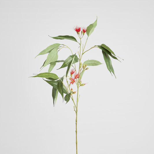 Eucalyptus Flower Spray 92cm Red & Green