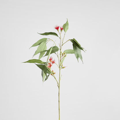 Eucalyptus Flower Spray 92cm Red & Green