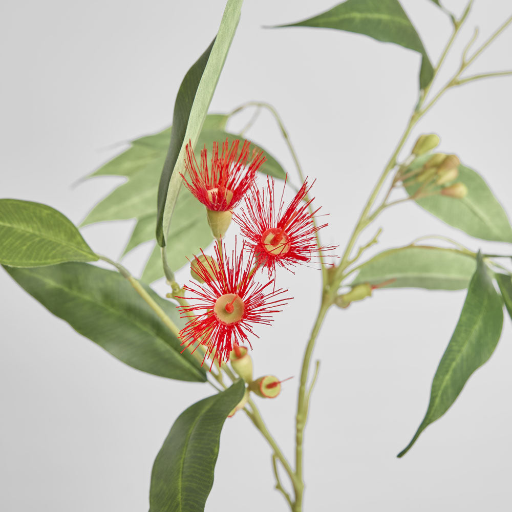 Eucalyptus Flower Spray 92cm Red & Green