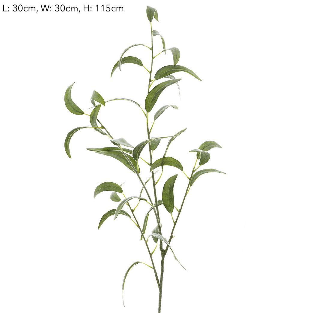 Eucalyptus leaf Spray Thin Leaves 1.15m