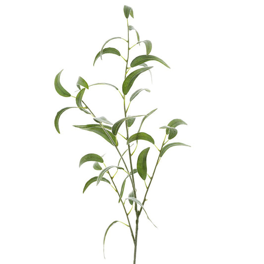 Eucalyptus leaf Spray Thin Leaves 1.15m
