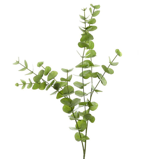 Eucalyptus leaf Spray Long 1m