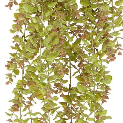 Hanging Eucalyptus Green Brown
