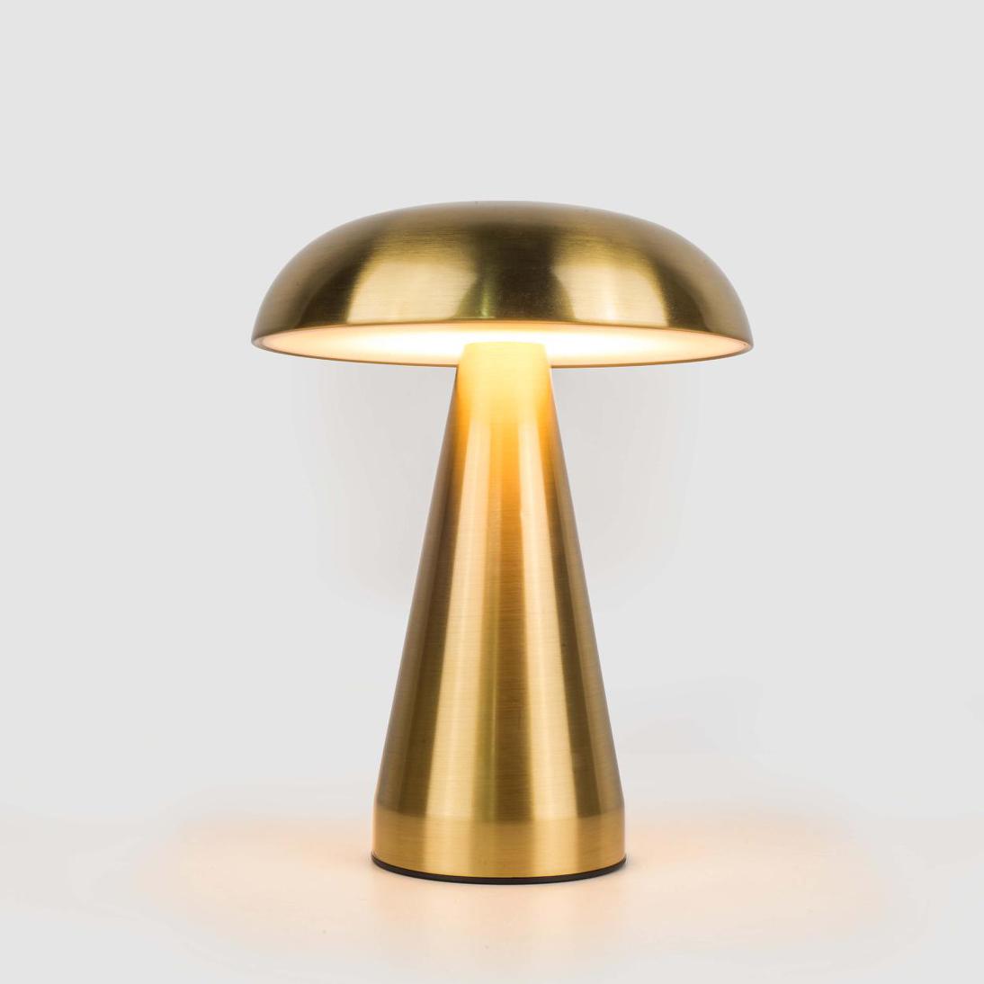 Terri Rechargeable Table Lamp
