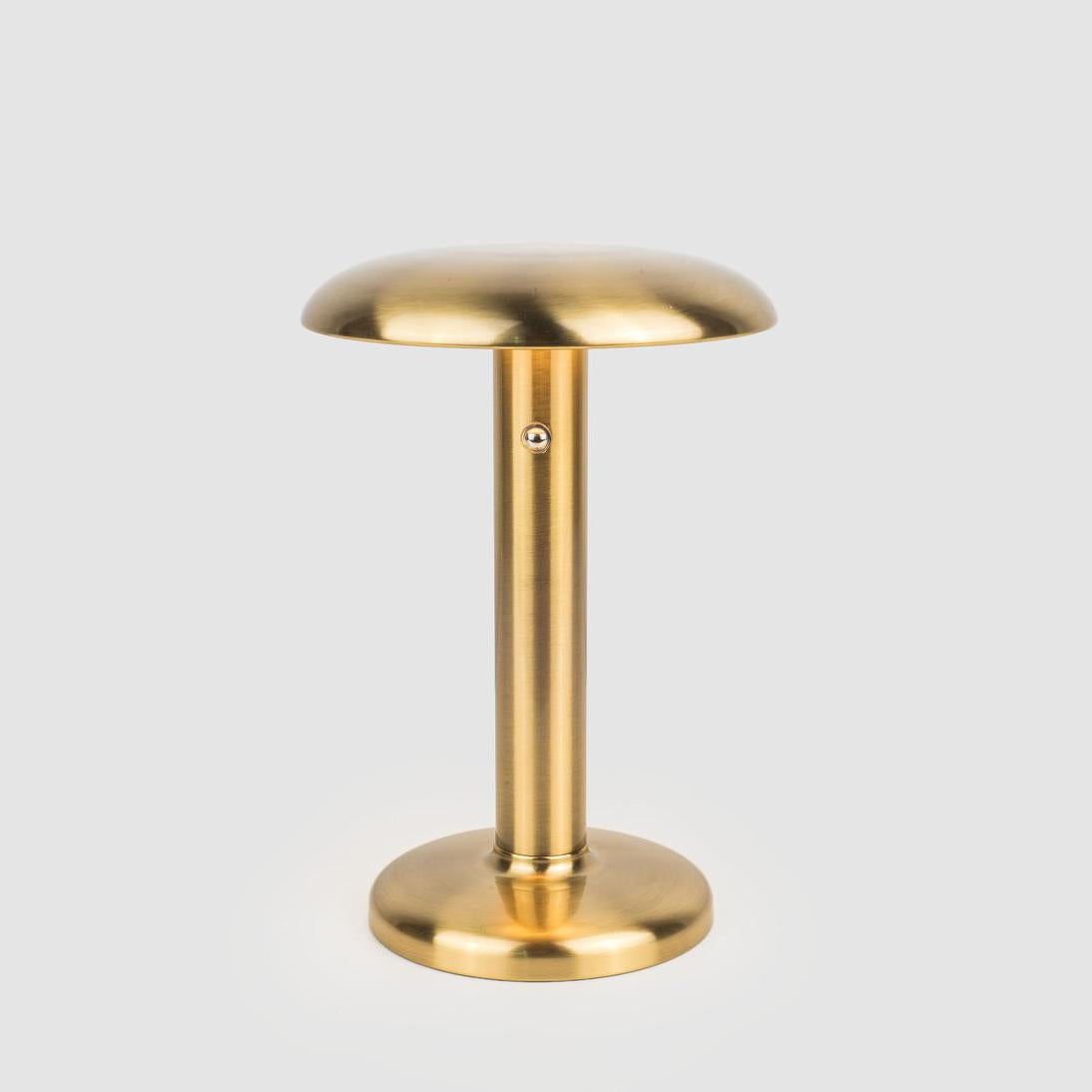Dani Rechargeable Table Lamp