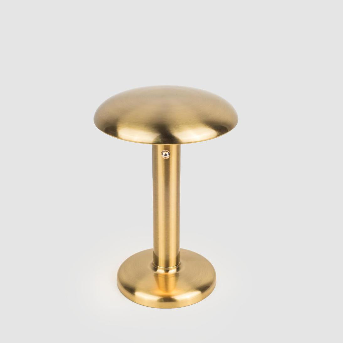 Dani Rechargeable Table Lamp