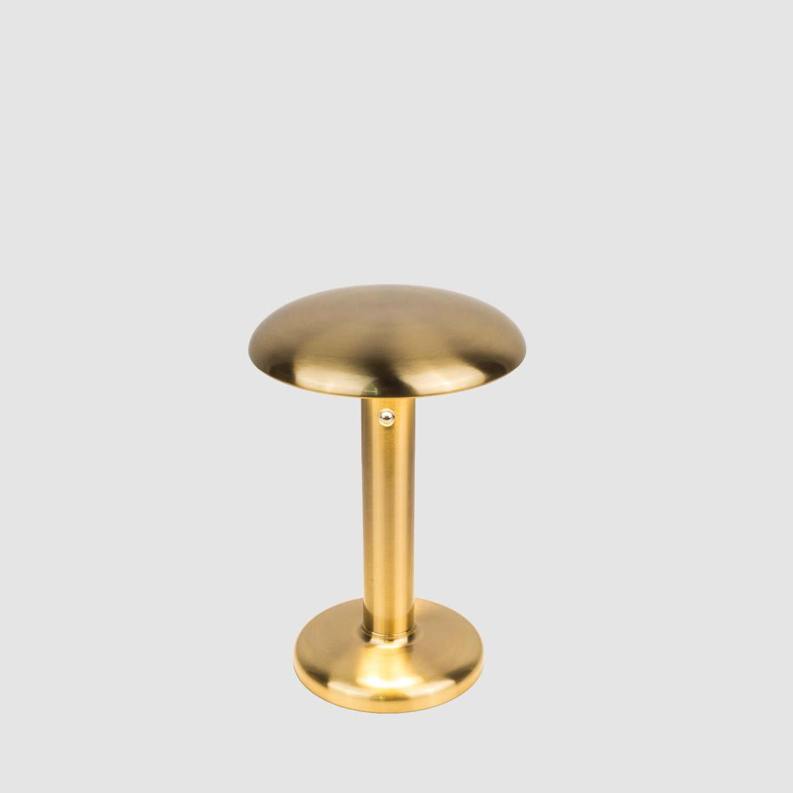 Dani Rechargeable Table Lamp