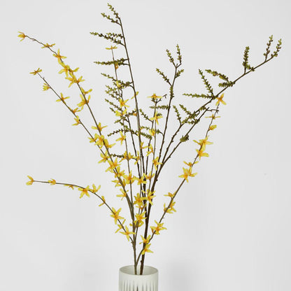 Forsythia Spray