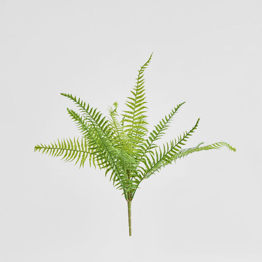 Fern Pick 50cm Green