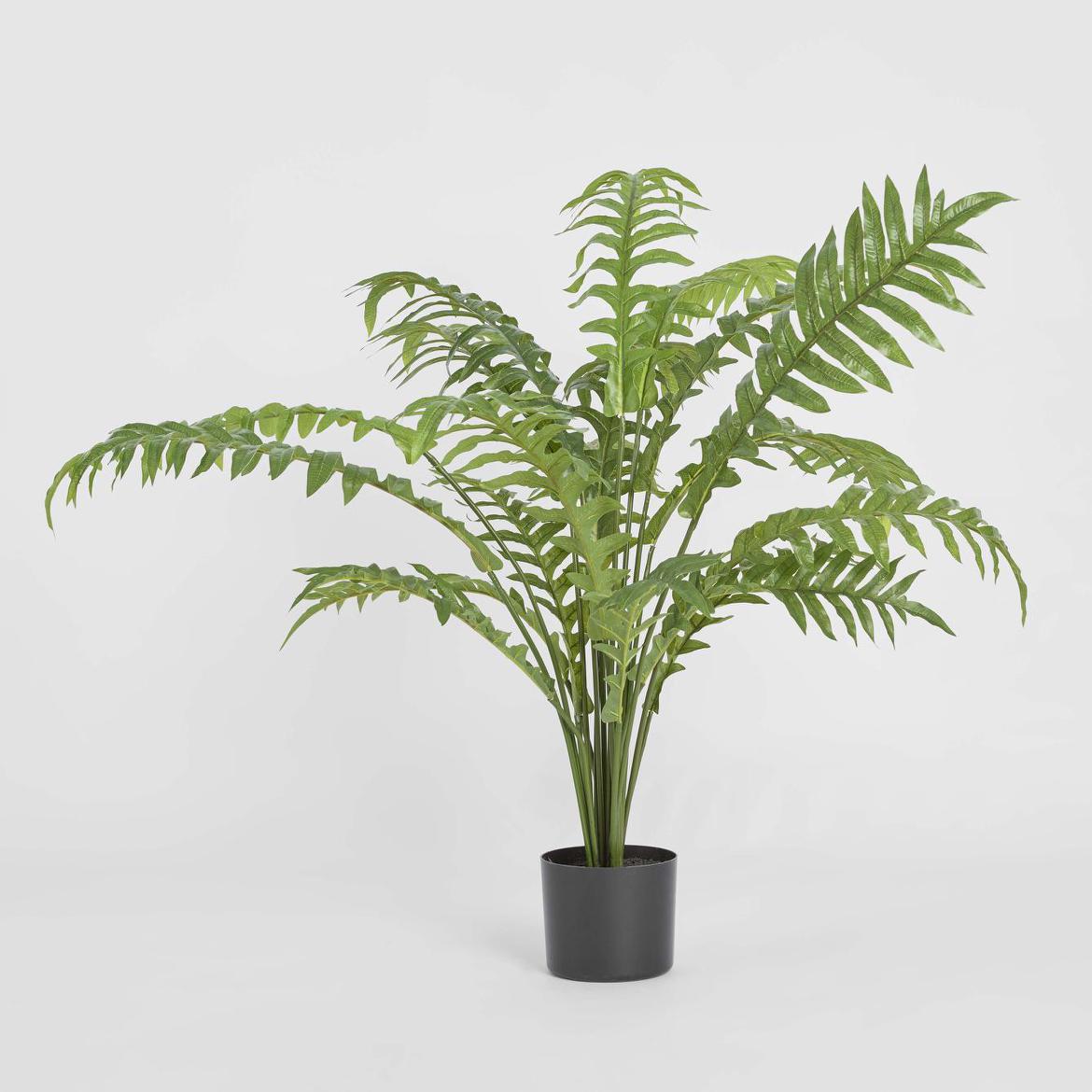 Fern Hares Foot 1.07m