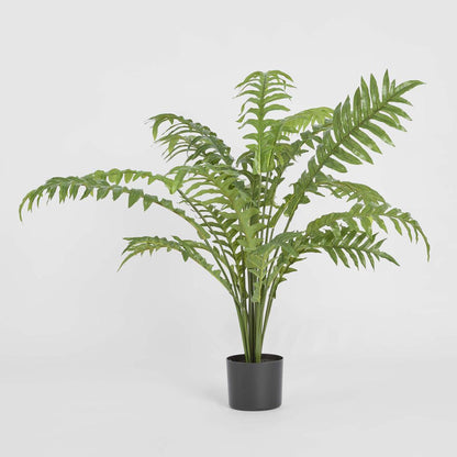Fern Hares Foot 1.07m