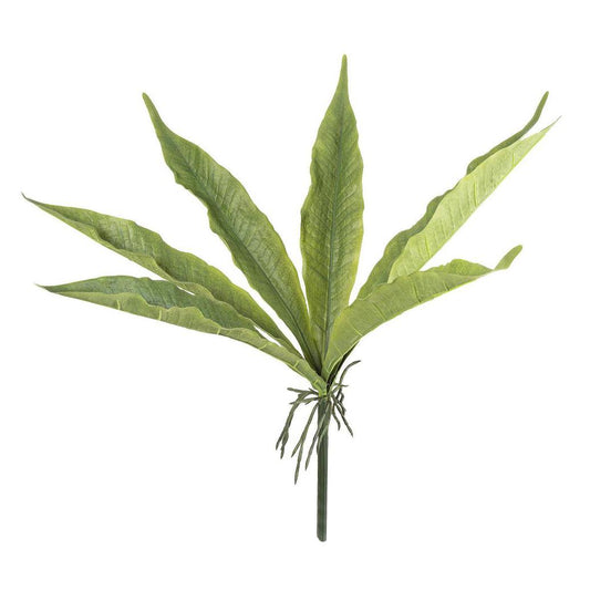Foliage leaf with Roots 48cm
