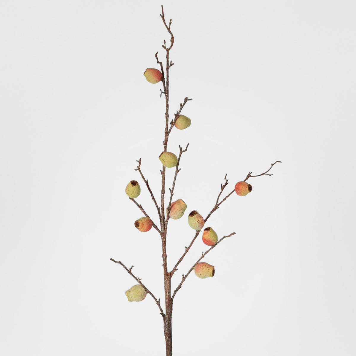 Fruit Berry Branch Stem Pink