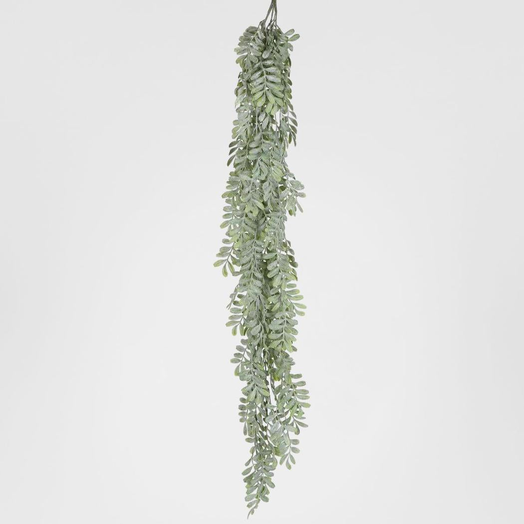 Pepper Fern Hanging Vine 115CM – Florabelle Living