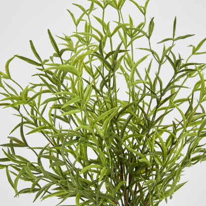 Real Touch Asparagus Fern Bush
