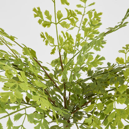 Real Touch Button Fern Bush