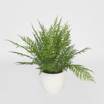 Fern in Magnesia Pot 71cm