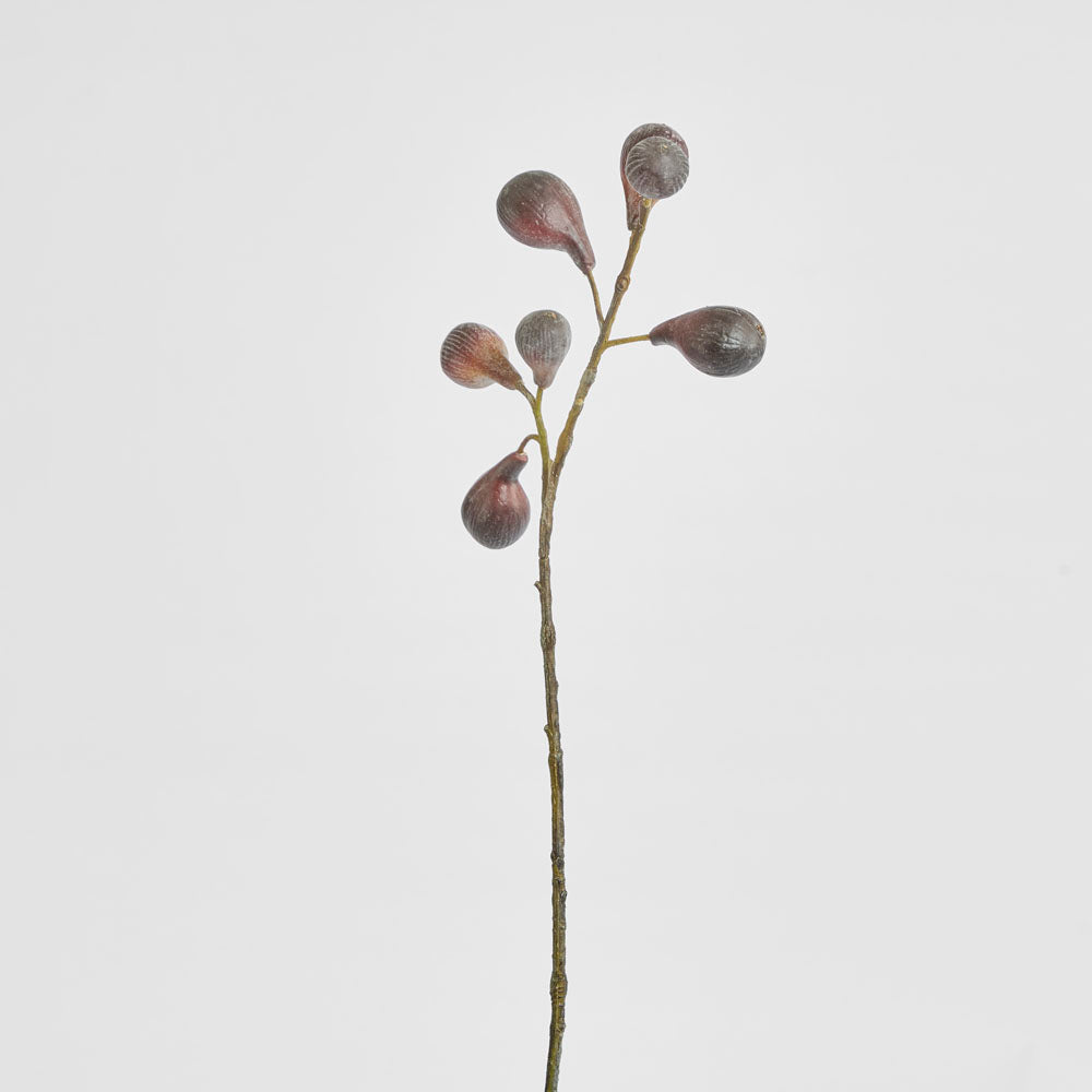 Fig Spray Brown 63cm