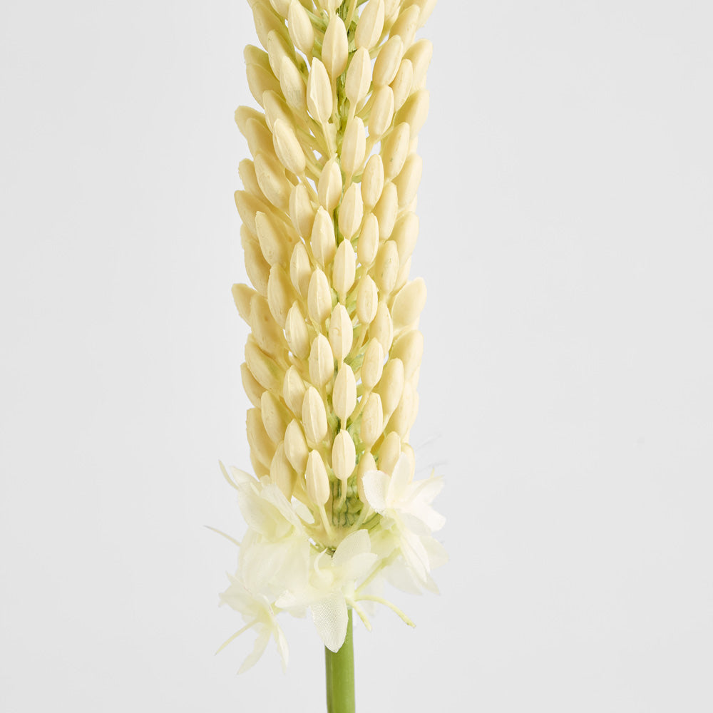 Fox Tail Stem 84cm Cream Green