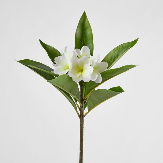 Real Touch Frangipani Stem 88cm