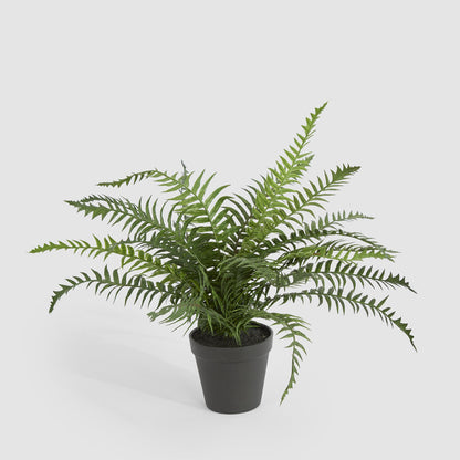 Potted Fern 40cm