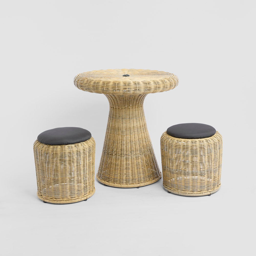 Saguaro Table Setting PE Rattan