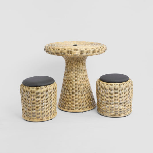 Saguaro Table Setting PE Rattan